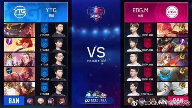 an组织了