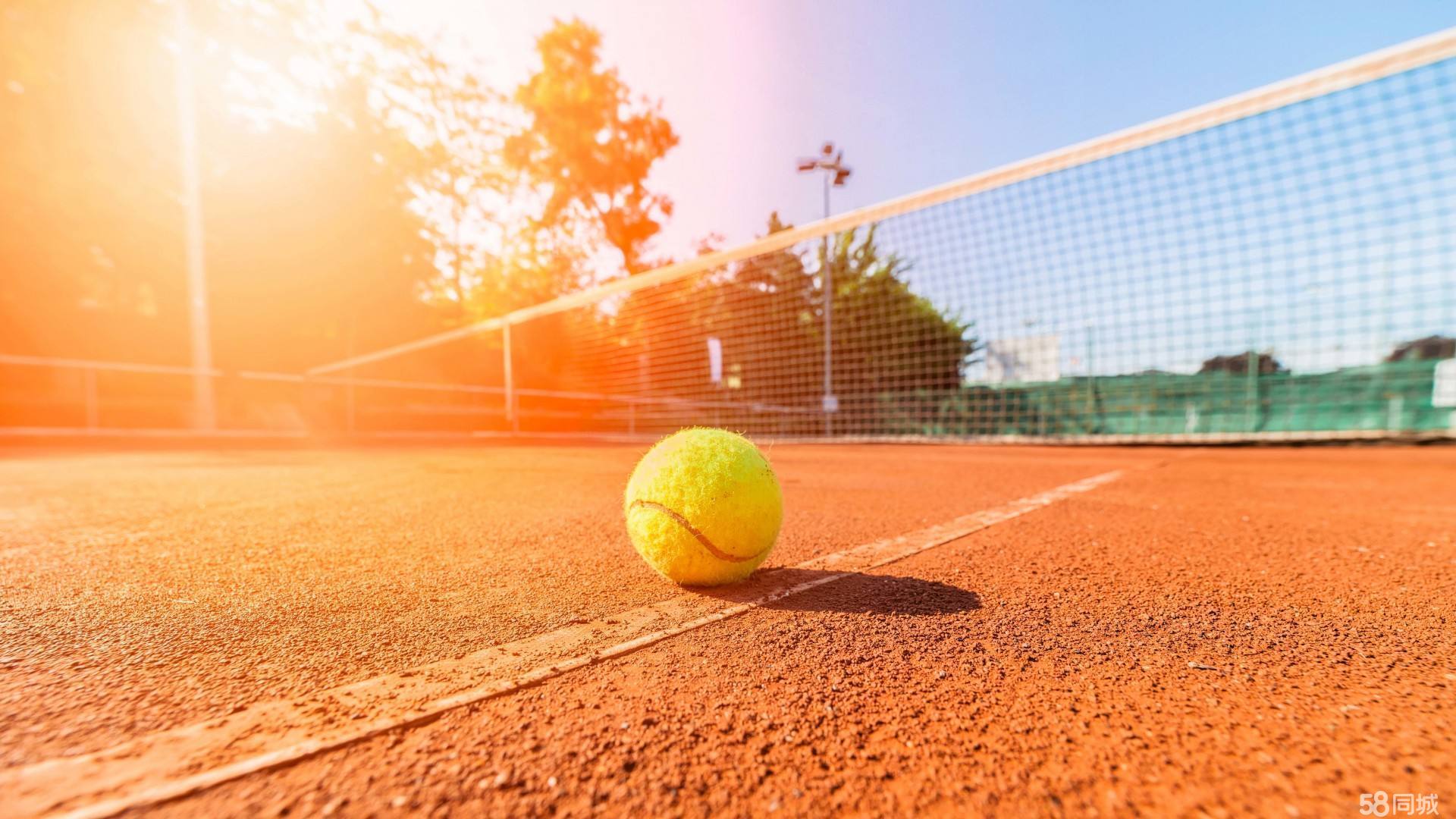 山东男篮在 山东男篮在