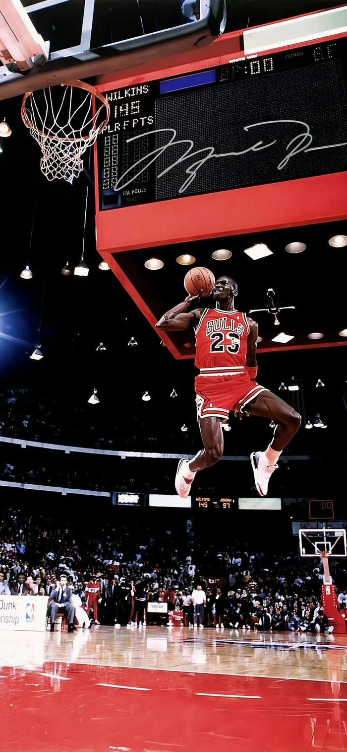 正是这种高 正是这种高