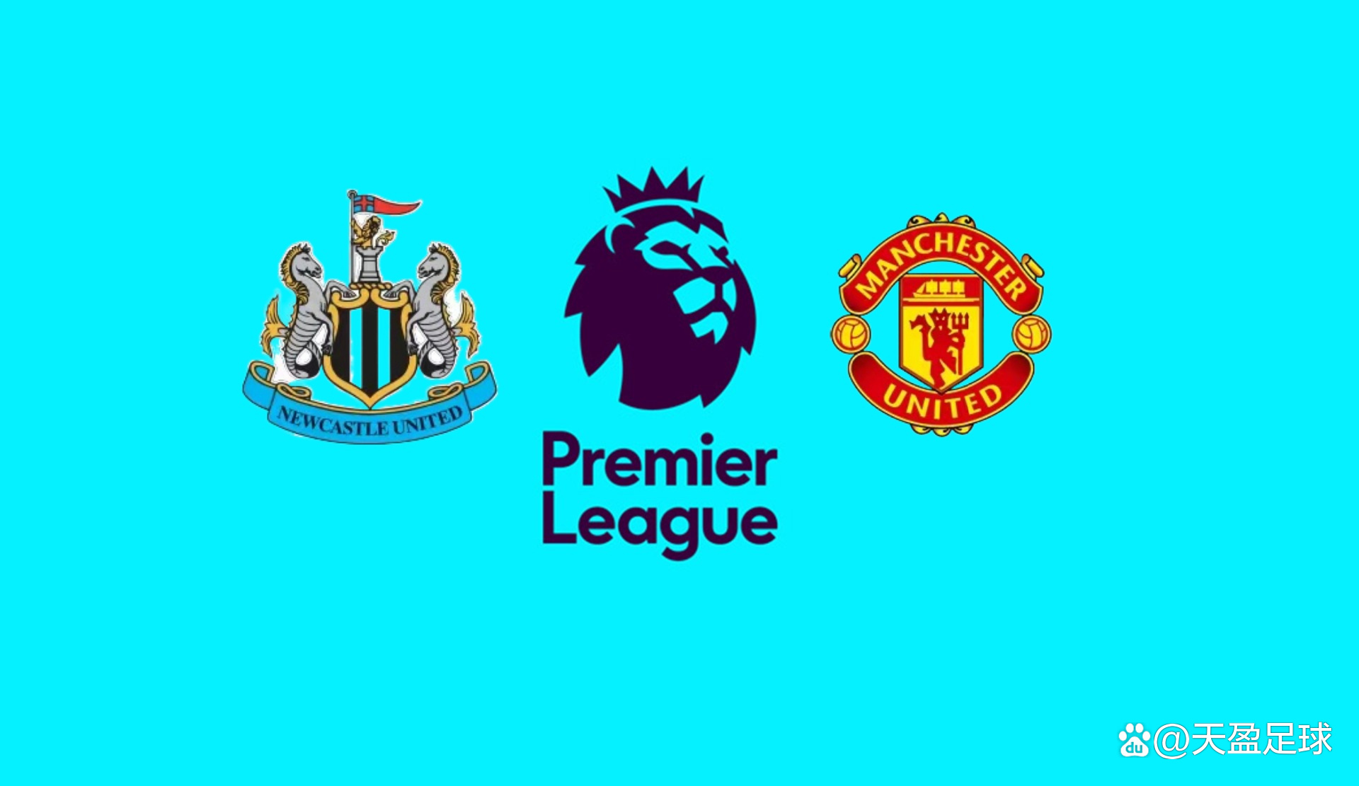 以往的短训 以往的短训