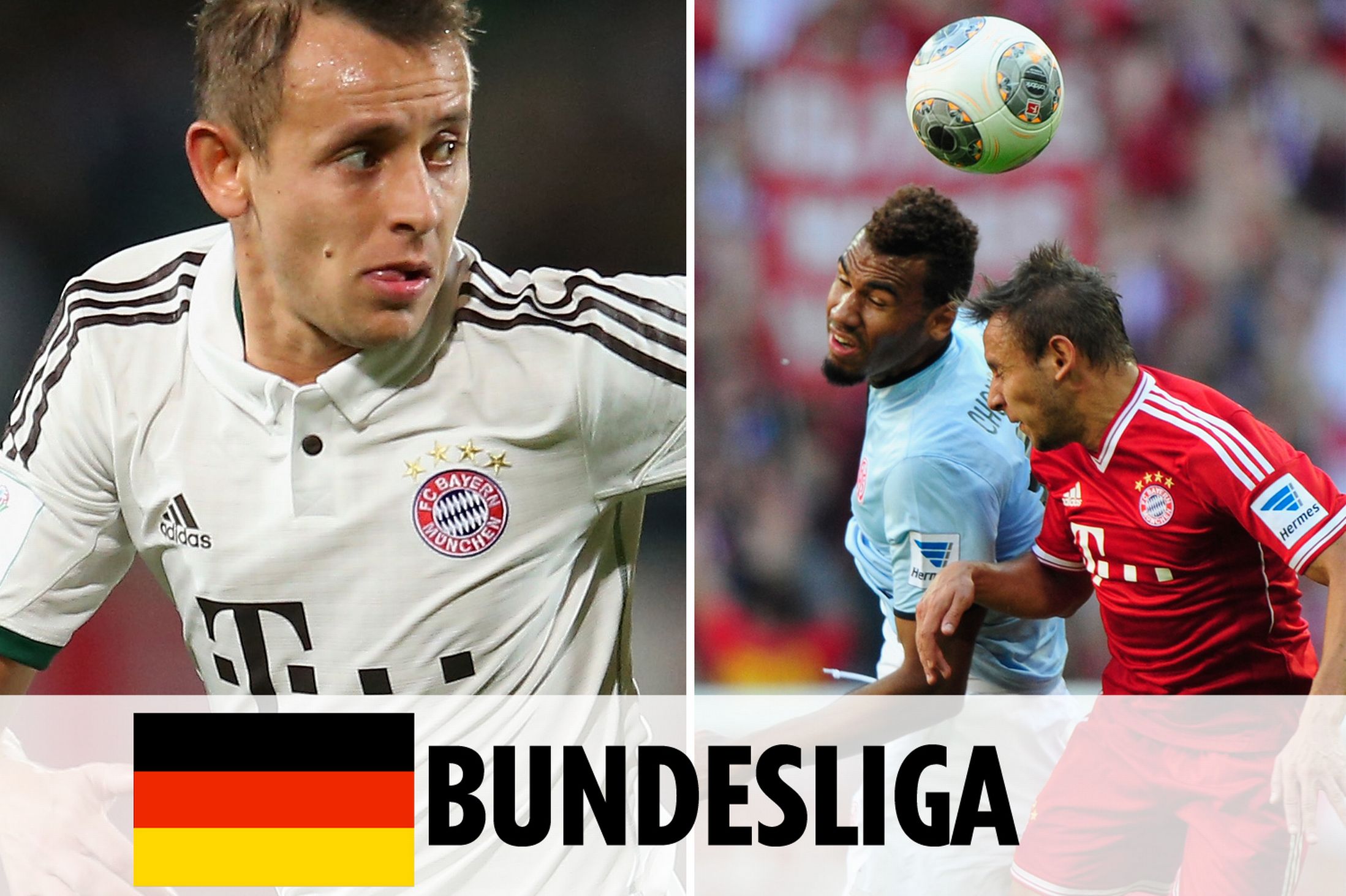 作与整体实 作与整体实